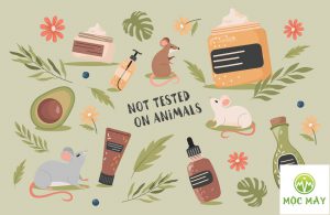 Các loại tinh dầu đuổi chuột